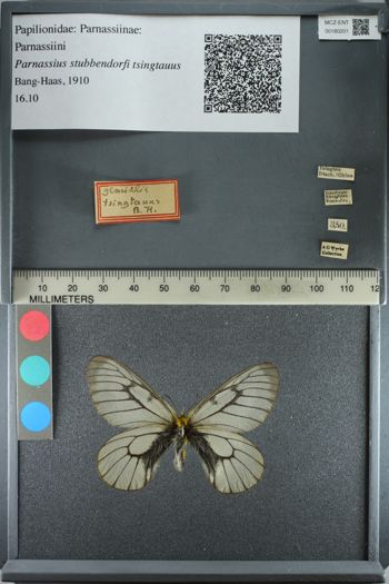 Media type: image;   Entomology 180201